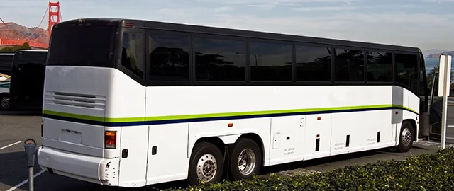 Versatile Charter Buses for Any Journey
